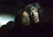 08-05-13-lecleub_61